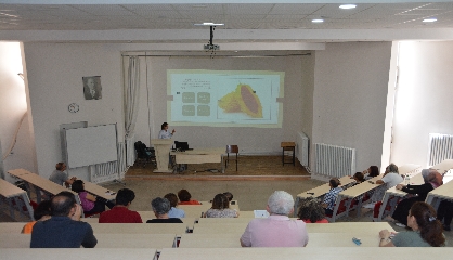 img1